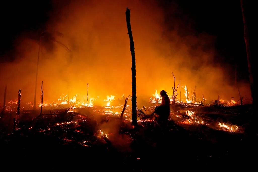 Incendios en la Amazonía brasileña aumentan más de un 100 % durante mayo de 2026
