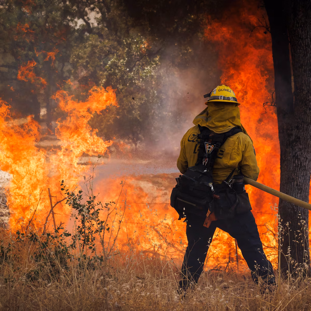 Incendio forestal consume 113 hectáreas en los Everglades de Florida